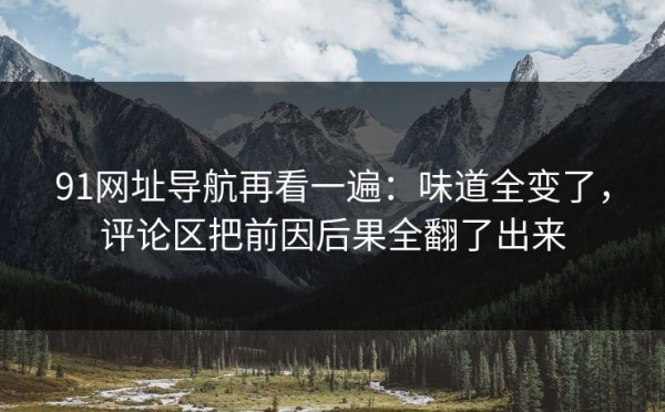 91网址导航再看一遍：味道全变了，评论区把前因后果全翻了出来