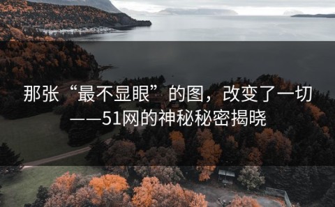 那张“最不显眼”的图，改变了一切——51网的神秘秘密揭晓