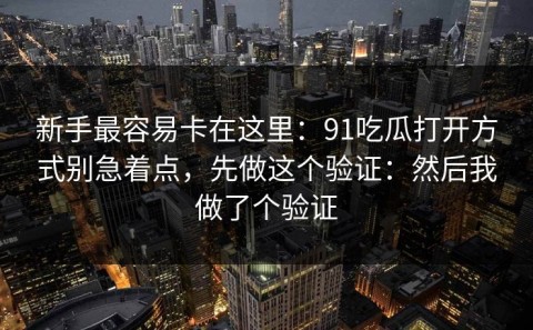 新手最容易卡在这里：91吃瓜打开方式别急着点，先做这个验证：然后我做了个验证