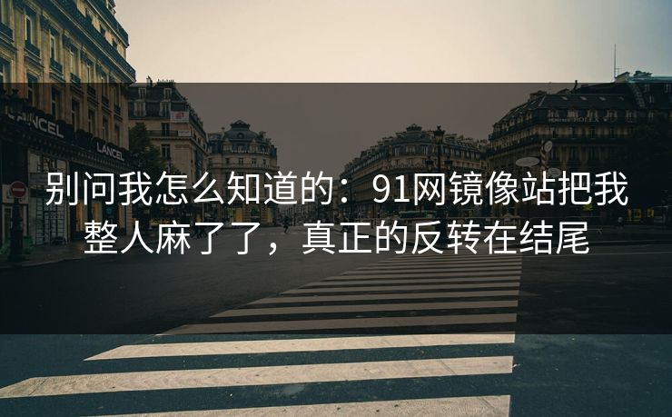 别问我怎么知道的：91网镜像站把我整人麻了了，真正的反转在结尾